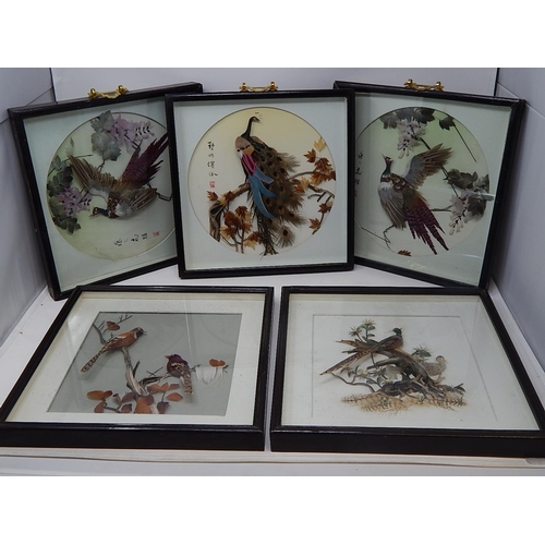 333 - 5 x Chinese Bird Feather Portraits: Framed & glazed 30cm x 30cm some signed.