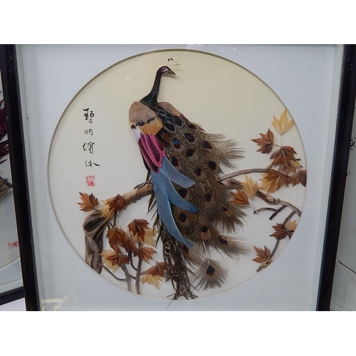 333 - 5 x Chinese Bird Feather Portraits: Framed & glazed 30cm x 30cm some signed.