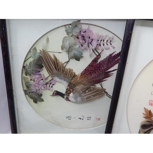 333 - 5 x Chinese Bird Feather Portraits: Framed & glazed 30cm x 30cm some signed.