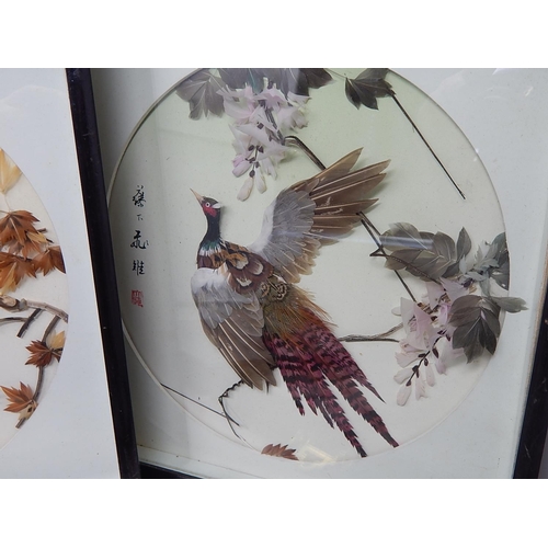 333 - 5 x Chinese Bird Feather Portraits: Framed & glazed 30cm x 30cm some signed.