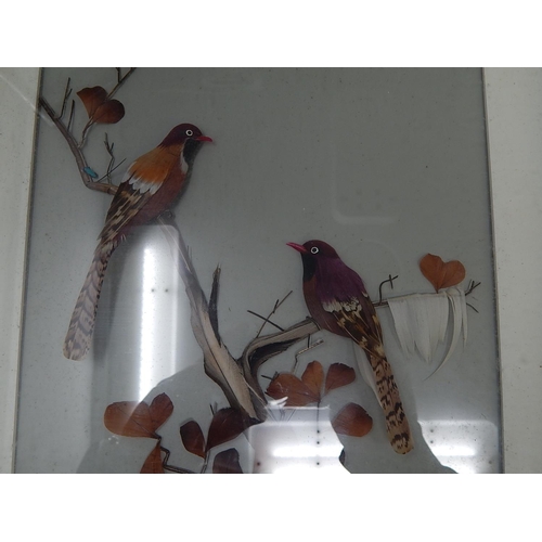 333 - 5 x Chinese Bird Feather Portraits: Framed & glazed 30cm x 30cm some signed.