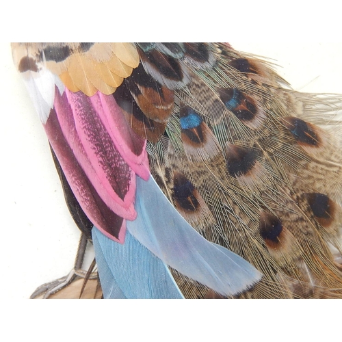 333 - 5 x Chinese Bird Feather Portraits: Framed & glazed 30cm x 30cm some signed.