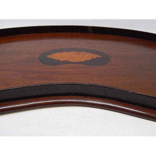 335 - Edwardian Mahogany Kidney Shaped Tray with Gallery, inlaid with central shell decoration & having tw... 