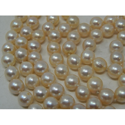 151 - Two row pearl necklace, pearls approximately 7.5mm, with a floral design clasp set with four smaller... 