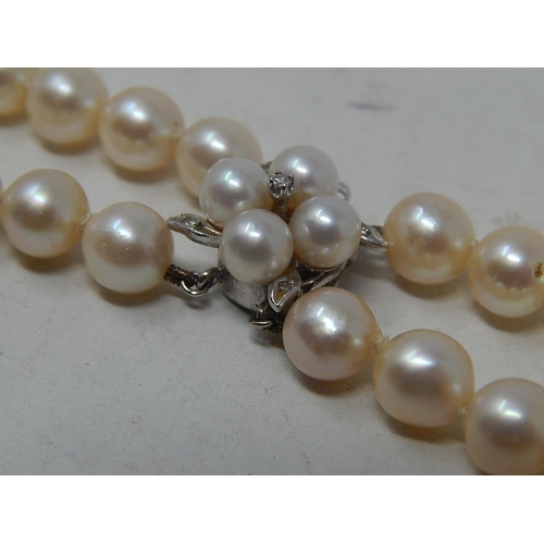 151 - Two row pearl necklace, pearls approximately 7.5mm, with a floral design clasp set with four smaller... 