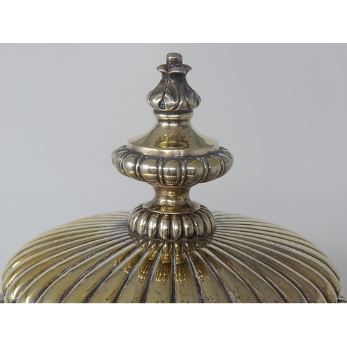 16 - Edwardian Silver Gilt Trophy Cup & Lid: Hallmarked London 1908 by Sydney Bellamy Harman: Height on S... 