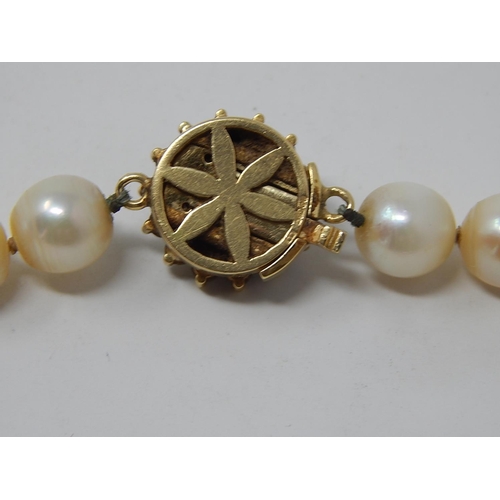 81 - Antique Pearl Necklace With an 18ct Gold Clasp set with a central pearl & Diamond border. Length 40c... 