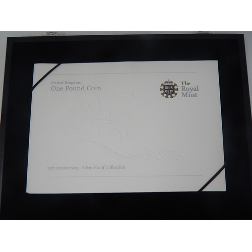 158 - 2008 £1 coin Silver Proof collection (14 coins) practically as struck in original box with COA