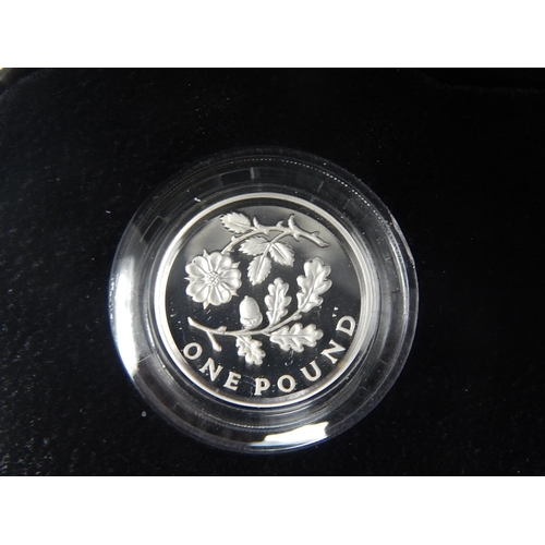 175 - Icons of a Nation Floral 2013 £1 coins (2)