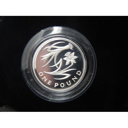 175 - Icons of a Nation Floral 2013 £1 coins (2)