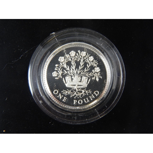 232 - Silver Proof Pounds 1986, 1987, 1988, 1991; 1993 Proof Silver Crown; 1998 Piedfort £1