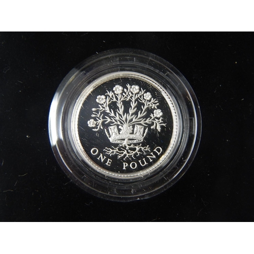 232 - Silver Proof Pounds 1986, 1987, 1988, 1991; 1993 Proof Silver Crown; 1998 Piedfort £1