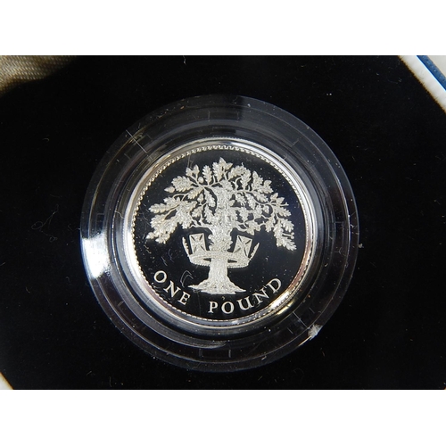 232 - Silver Proof Pounds 1986, 1987, 1988, 1991; 1993 Proof Silver Crown; 1998 Piedfort £1