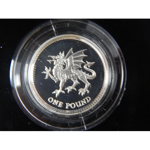 303 - Silver Proof Pounds 1985, 1994, 1995, 1996  and 2000