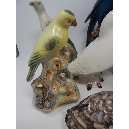 539 - Group of Ten Ceramic Birds Including Tuscan & Tettau