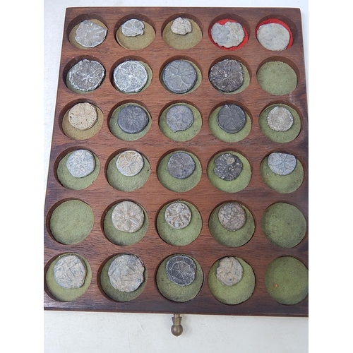 13 - A wooden collector's cabinet containing a fabulous collection of 530 Ancient and Medieval coins