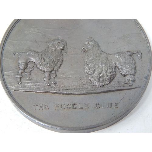 19 - Poodle Club 1911 Medallion awarded to Count de Monte Cristo