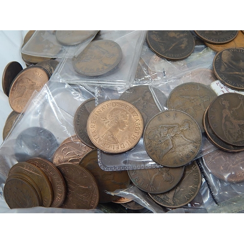 244 - Large Quantity of Victorian & Later Pennies, Half Pennies & Farthings. Several kg.