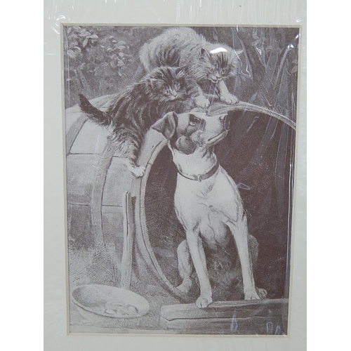 84 - Five Mounted Prints of Dogs.