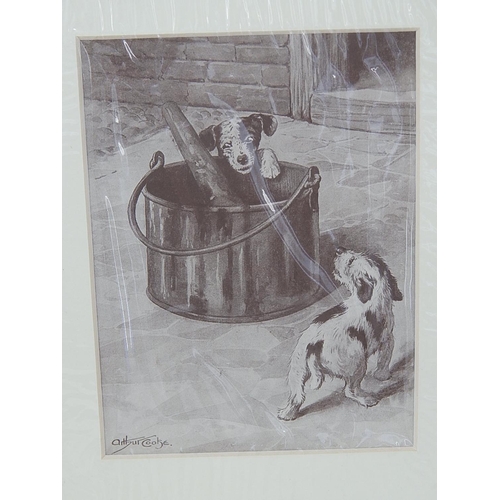 84 - Five Mounted Prints of Dogs.