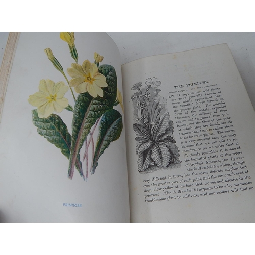 89 - BOOKS: Familiar Wild Flowers: First Series with coloured plates: by F. Edward Hulme F.L.S F.S.A