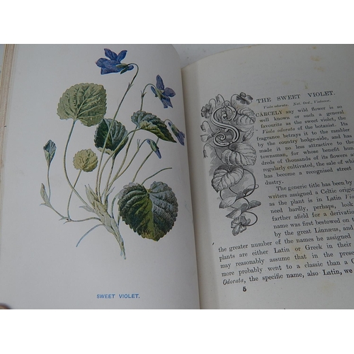 89 - BOOKS: Familiar Wild Flowers: First Series with coloured plates: by F. Edward Hulme F.L.S F.S.A