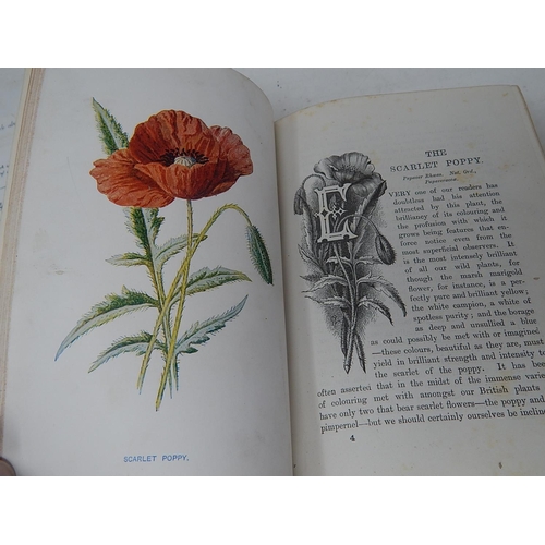 89 - BOOKS: Familiar Wild Flowers: First Series with coloured plates: by F. Edward Hulme F.L.S F.S.A