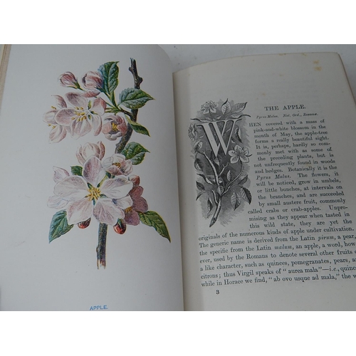 89 - BOOKS: Familiar Wild Flowers: First Series with coloured plates: by F. Edward Hulme F.L.S F.S.A