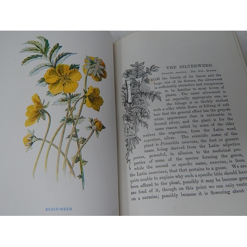 89 - BOOKS: Familiar Wild Flowers: First Series with coloured plates: by F. Edward Hulme F.L.S F.S.A