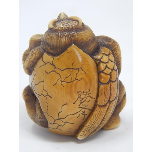 155 - Japanese Signed Netsuke of a Tengu breaking out of shell: Edo/Meiji Period: Measures 4.5cm high.