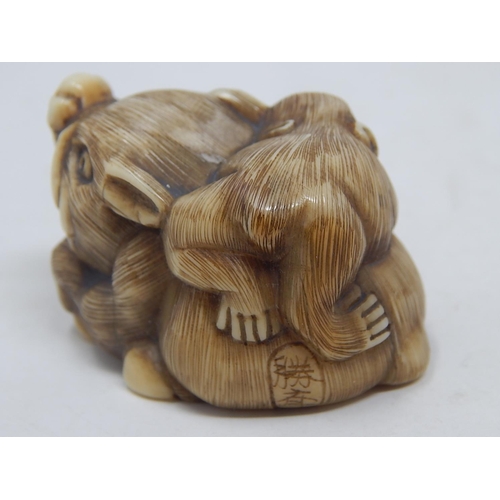 156 - Japanese Signed Netsuke of a Wild Boar with a Monkey on its back: Edo/Meiji Period: Measures 4.3cm w... 