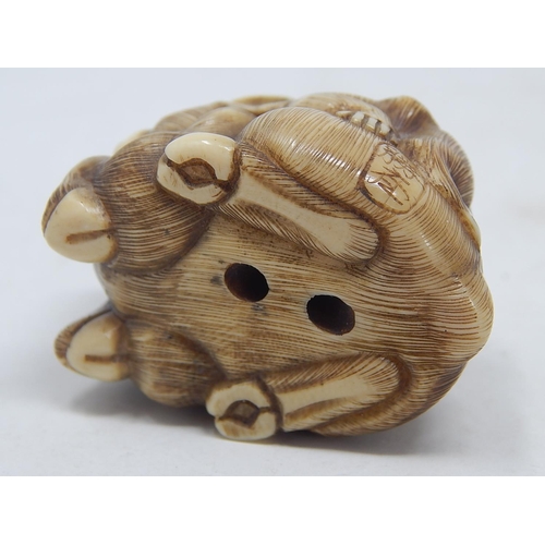 156 - Japanese Signed Netsuke of a Wild Boar with a Monkey on its back: Edo/Meiji Period: Measures 4.3cm w... 