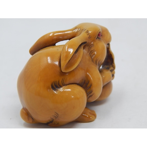 157 - Japanese Signed Netsuke of a Hare with Red Amber Eyes eating the leaf of a vegetable: Edo/Meiji Peri... 