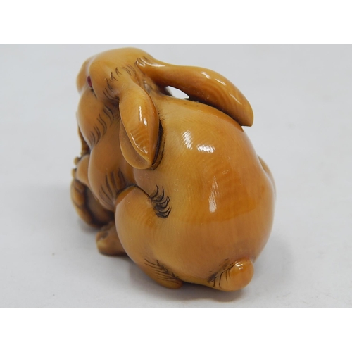 157 - Japanese Signed Netsuke of a Hare with Red Amber Eyes eating the leaf of a vegetable: Edo/Meiji Peri... 