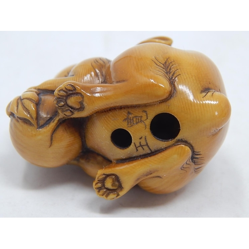 157 - Japanese Signed Netsuke of a Hare with Red Amber Eyes eating the leaf of a vegetable: Edo/Meiji Peri... 