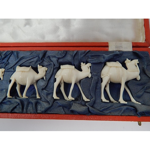 166 - 1920's Set of Seven Graduated Ivory Camels within their original red fitted case.