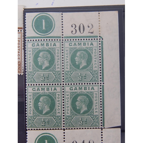 319 - Gambia: 1904 - 06 2½d bright blue and ultramarine wmk MCA mint. SG 60a. Cat £25.