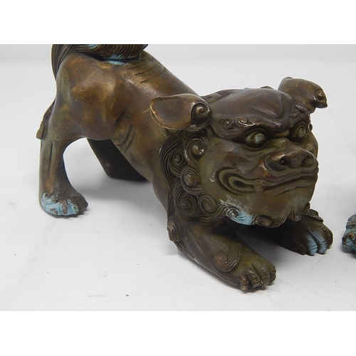 476 - CHINESE: Pair of Hollow Cast Bronze Temple Dogs with Good Cast Features & Patina. Each Measuring 15c... 