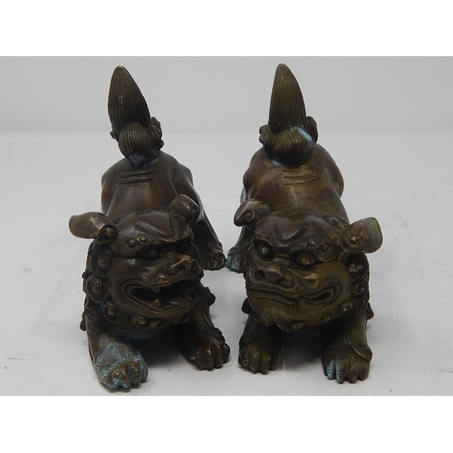 476 - CHINESE: Pair of Hollow Cast Bronze Temple Dogs with Good Cast Features & Patina. Each Measuring 15c... 