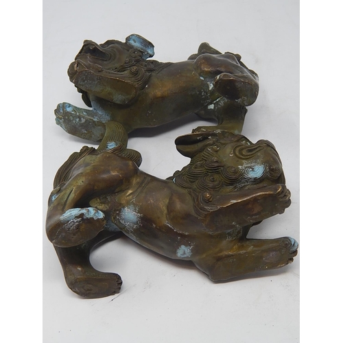 476 - CHINESE: Pair of Hollow Cast Bronze Temple Dogs with Good Cast Features & Patina. Each Measuring 15c... 