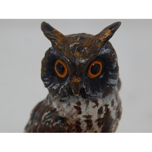 596 - Cold Painted Bronze Figure of an Owl: Measures 7.5cm high