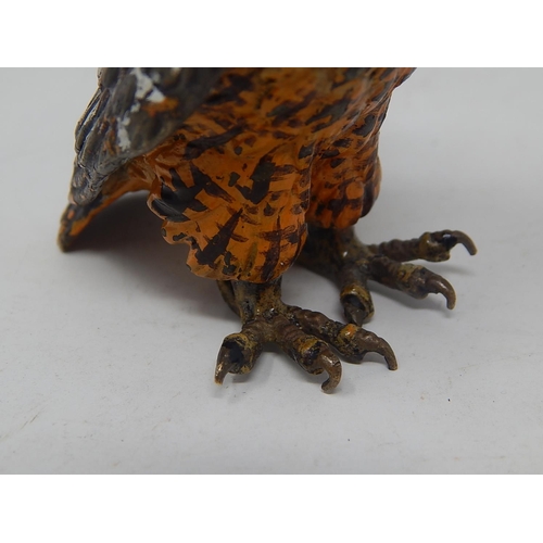 596 - Cold Painted Bronze Figure of an Owl: Measures 7.5cm high