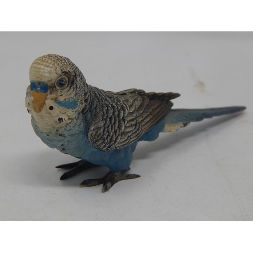 597 - Cold Painted Bronze Figure of an Budgie: Measures 15.5cm long