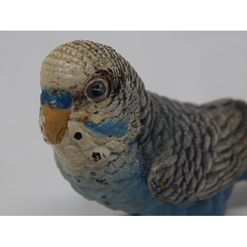 597 - Cold Painted Bronze Figure of an Budgie: Measures 15.5cm long