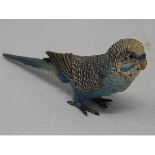 597 - Cold Painted Bronze Figure of an Budgie: Measures 15.5cm long