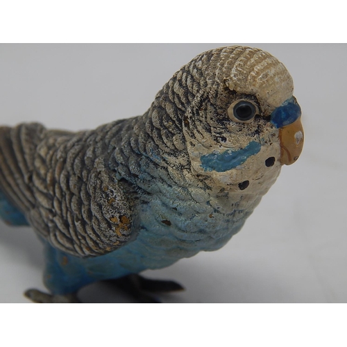 597 - Cold Painted Bronze Figure of an Budgie: Measures 15.5cm long