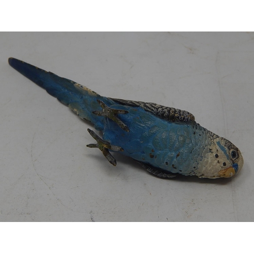 597 - Cold Painted Bronze Figure of an Budgie: Measures 15.5cm long