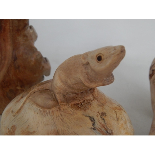 599 - Three Carved Driftwood Figures of a Field Mouse, Lizard & a Horse: The largest measuring 25cm wide