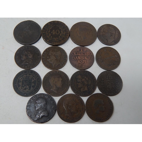 Lot 219       