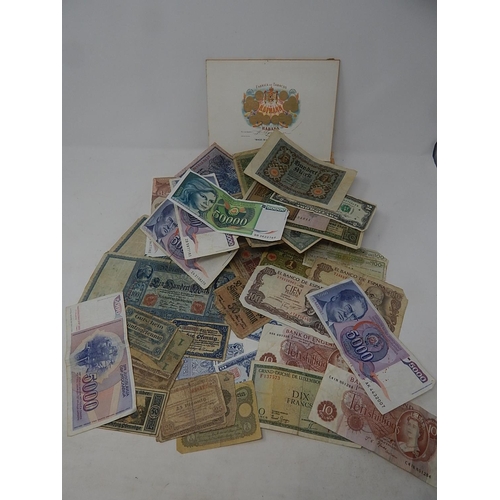 Lot 204       
